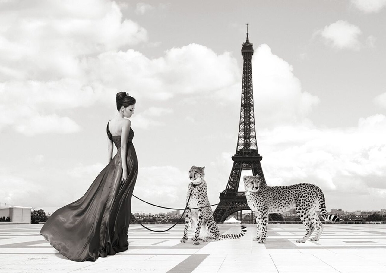 Trocadero View Poster Print by Julian Lauren - Item # VARPDX3AP4306